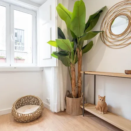 Sao Bento Cozy Apartments - By Lu Holidays Lisbon Exterior photo